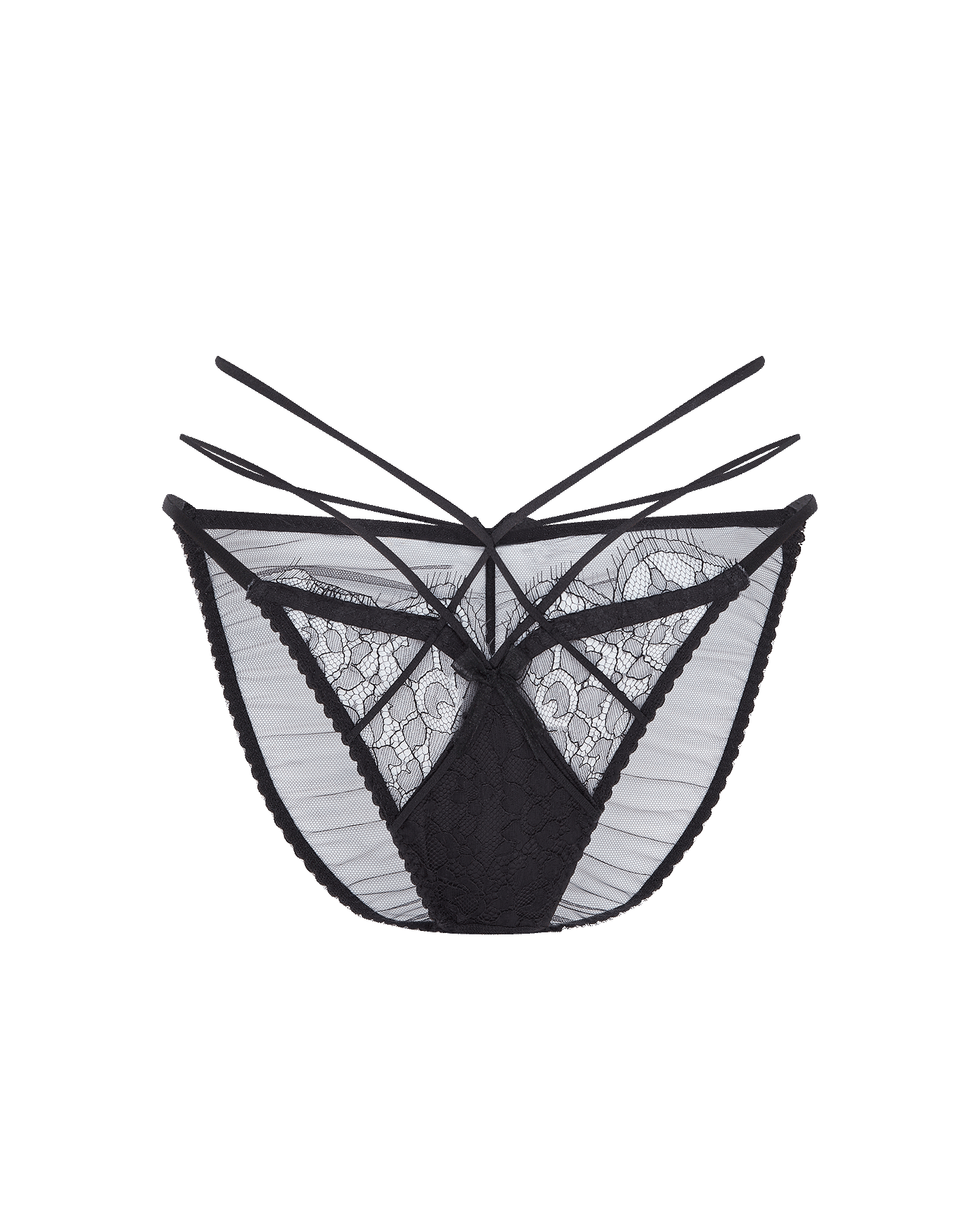 Halley Full Brief