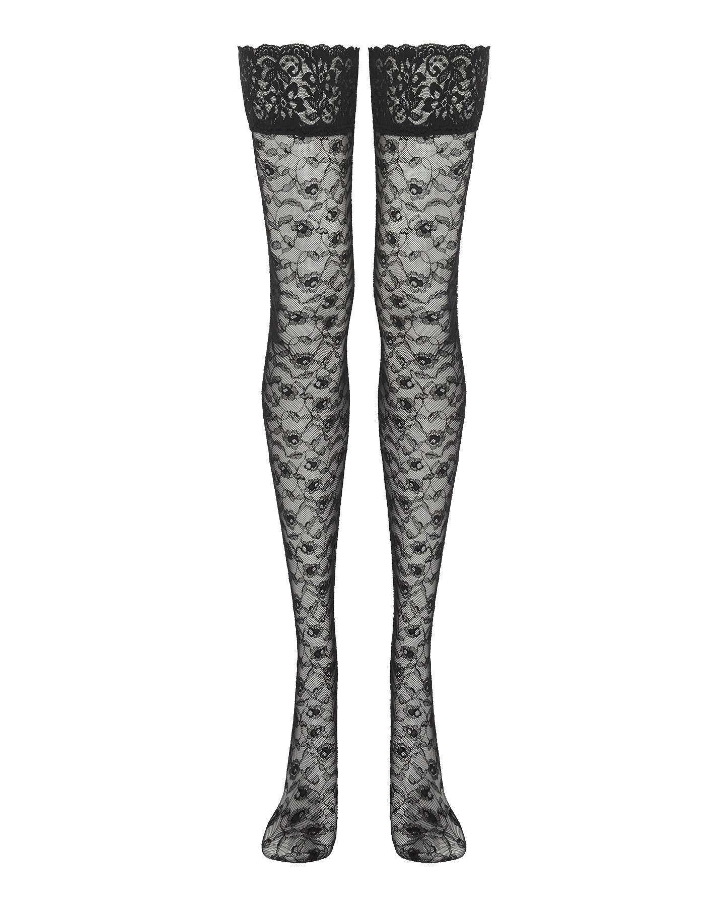 Daylia Hold Ups