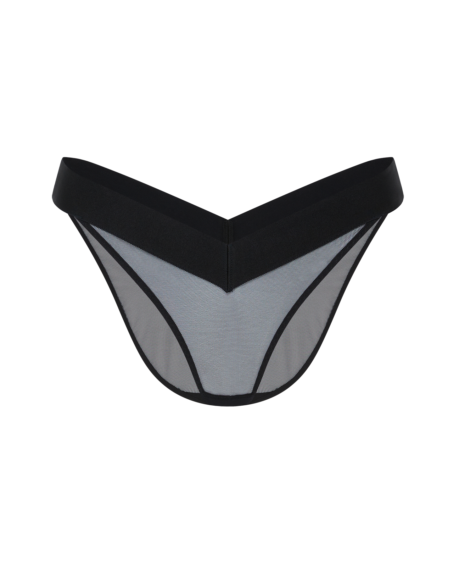 Caity Full Brief