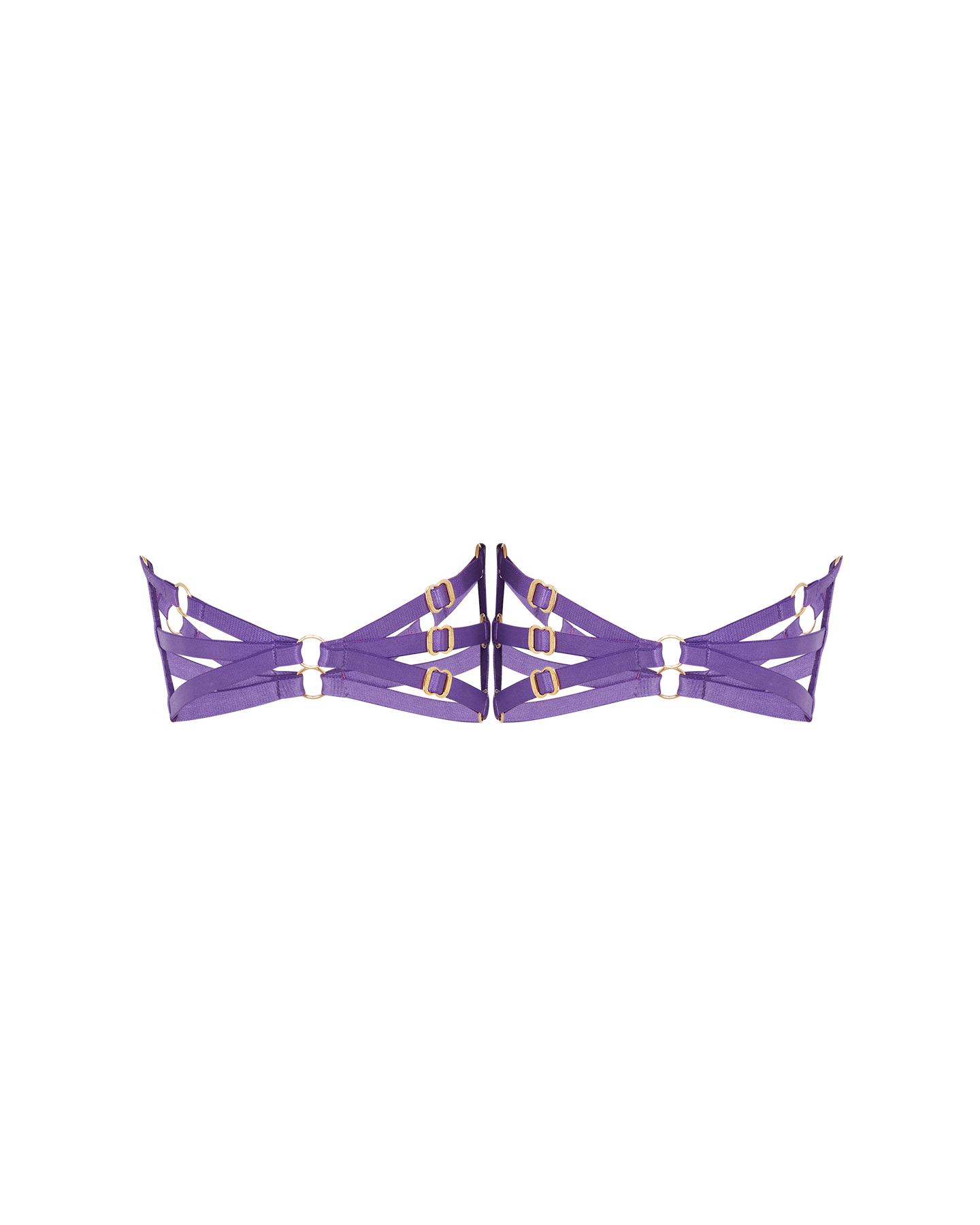 Dioni Garter Set in Deep Purple | By Agent Provocateur