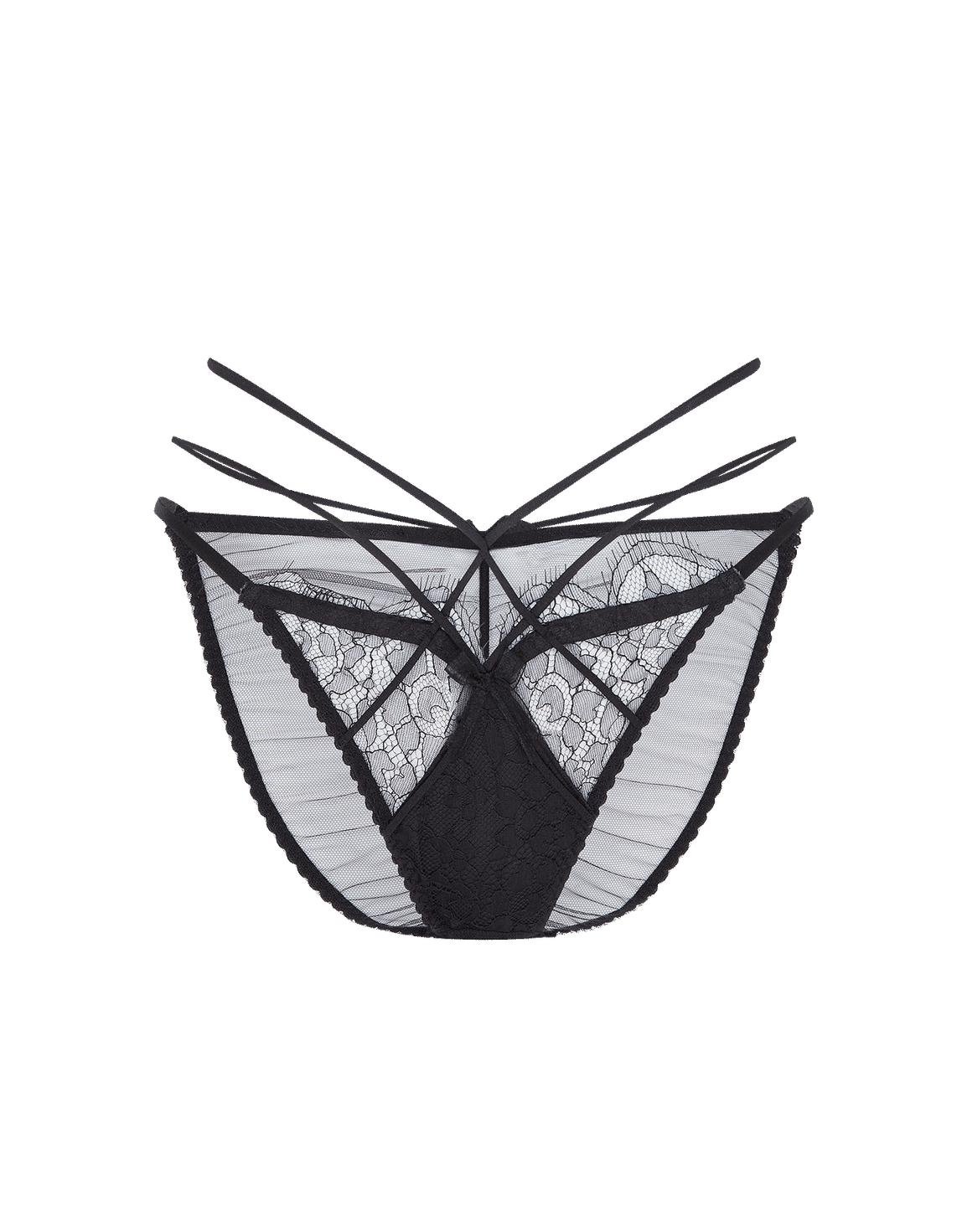 Halley Brief  | Agent Provocateur