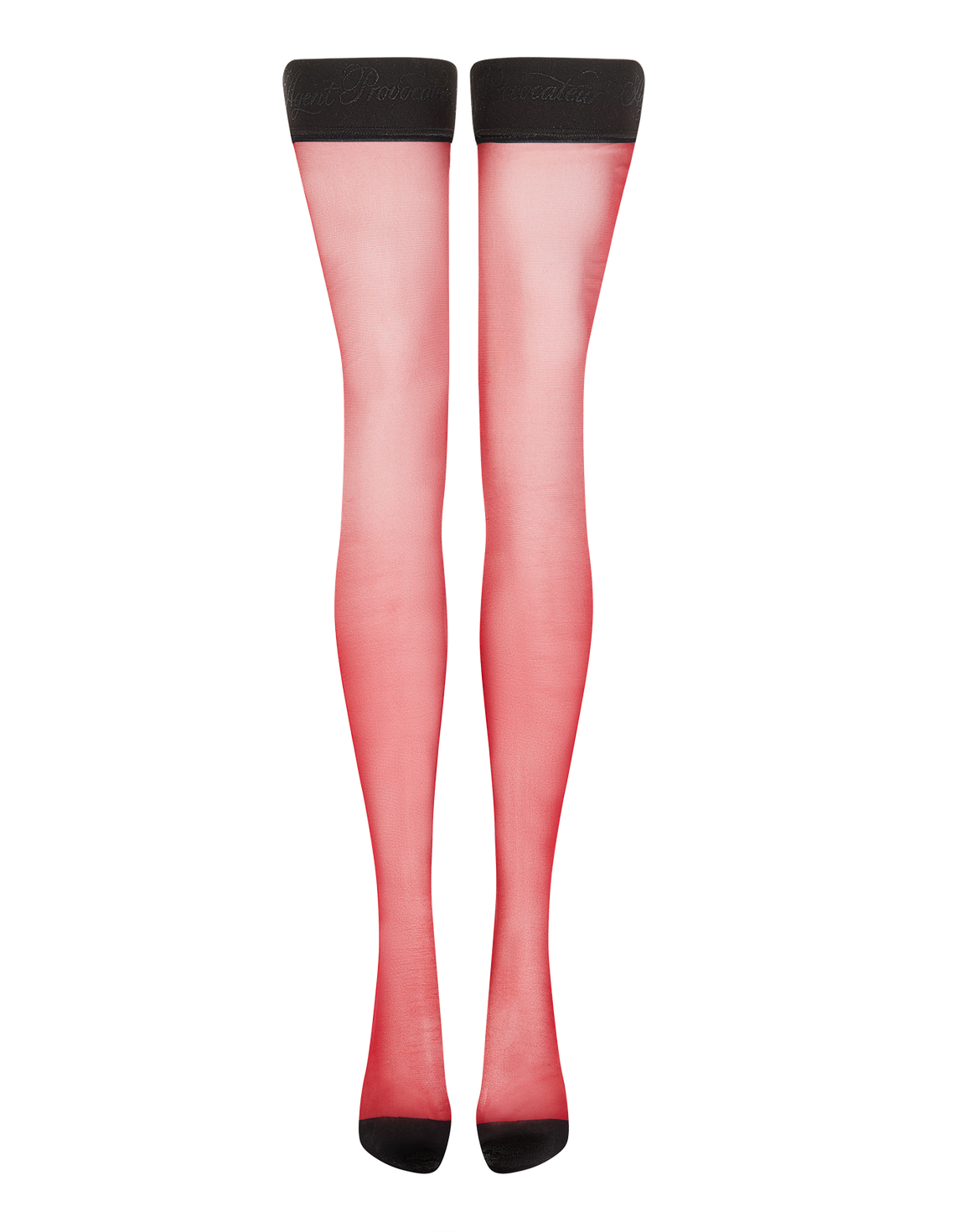 Tanzie Hold Ups Burgundy/Black | Agent Provocateur