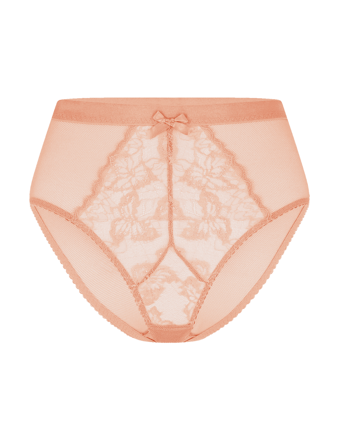 Leni High Waisted Brief Praline | Agent Provocateur