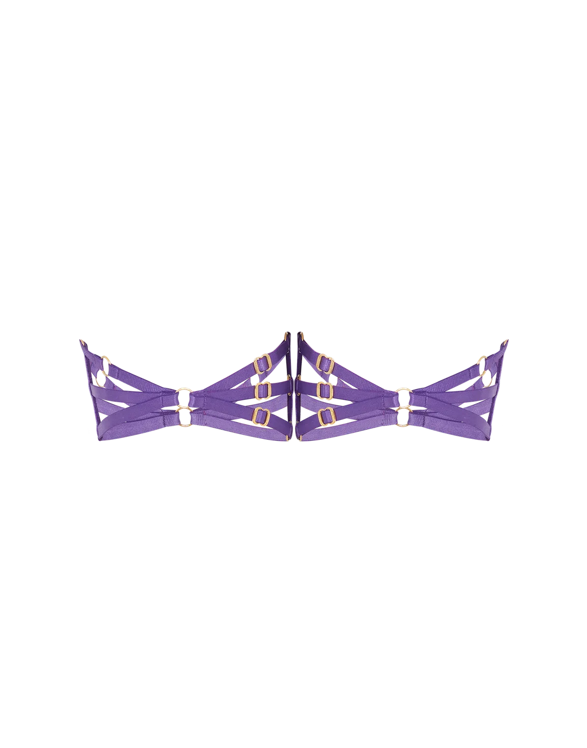 Dioni Garter Set Deep Purple | Agent Provocateur