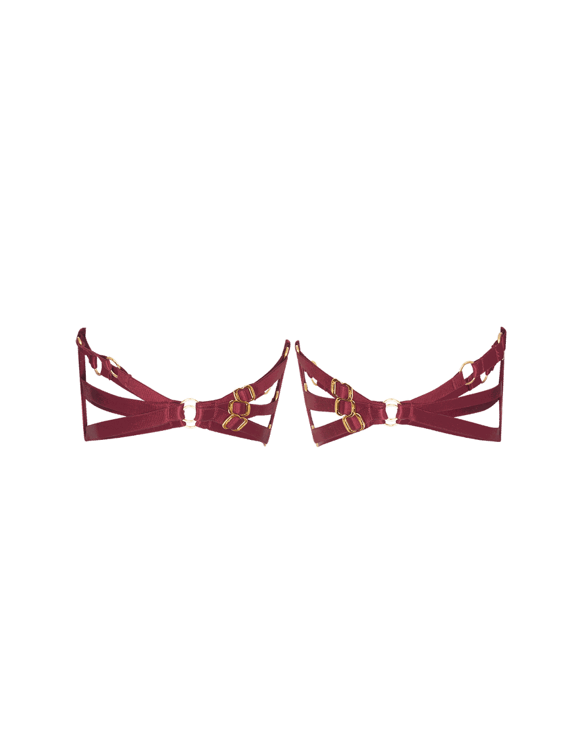 Dioni Garter Set Burgundy | Agent Provocateur