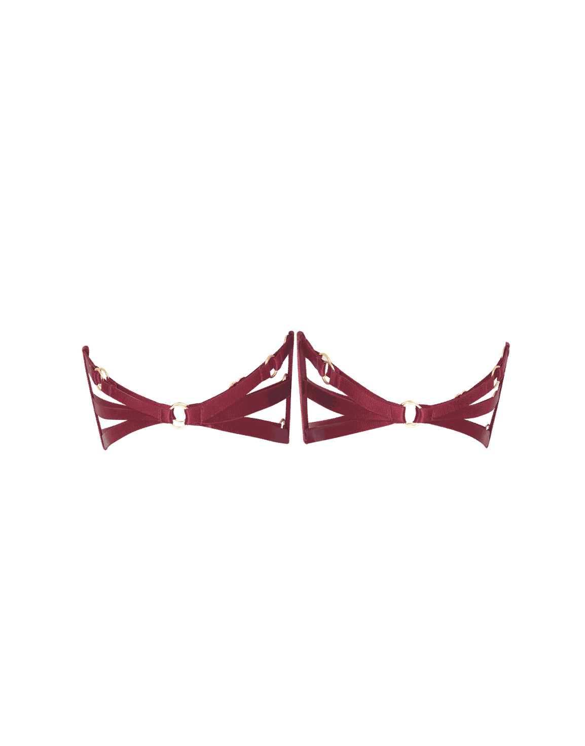 Dioni Garter Set Burgundy | Agent Provocateur