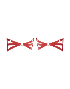 Dioni Garter Set Red | Agent Provocateur