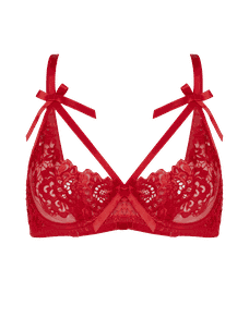 Cendrillon Plunge Underwired Bra Red | Agent Provocateur