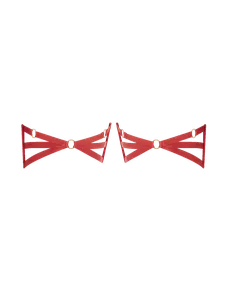 Dioni Garter Set Red | Agent Provocateur
