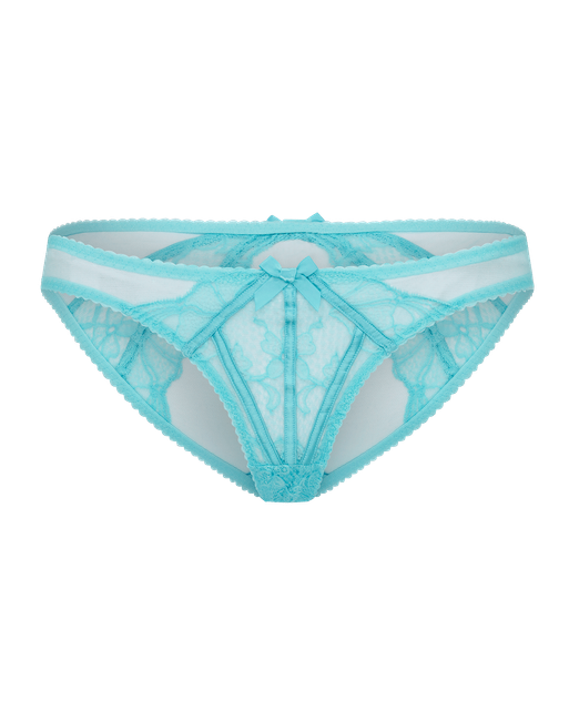 Rozlyn Full Brief Turquoise | Agent Provocateur