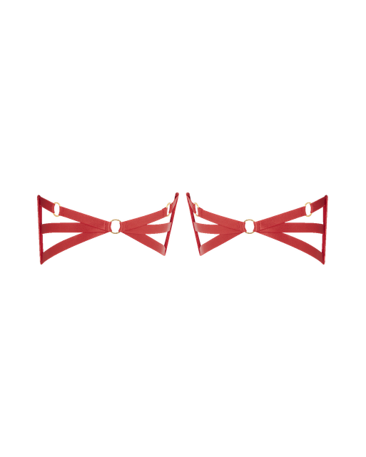 Dioni Garter Set Red | Agent Provocateur