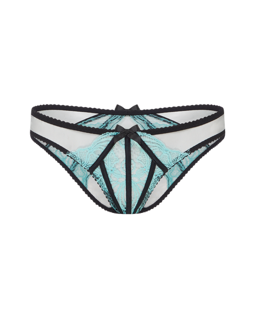 Rozlyn Full Brief  Mint | Agent Provocateur