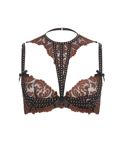 Zarella Plunge Underwired Bra Bronze/Black | Agent Provocateur