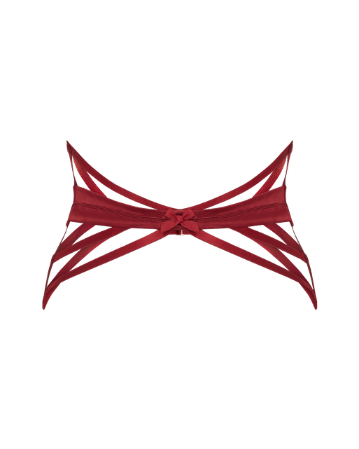 Briella Waspie Burgundy | Agent Provocateur