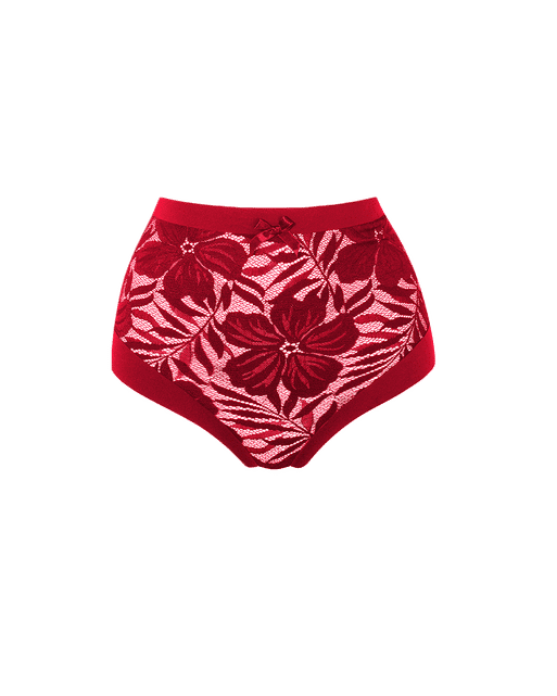 Audrey High Waisted Red | Agent Provocateur