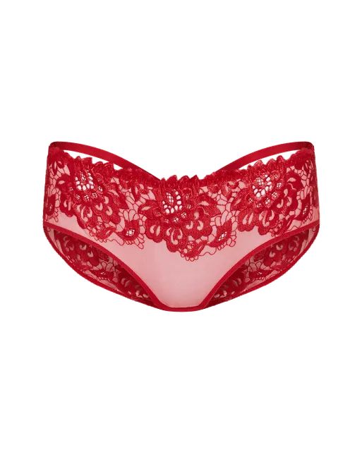 Cendrillon Full Brief Red | Agent Provocateur