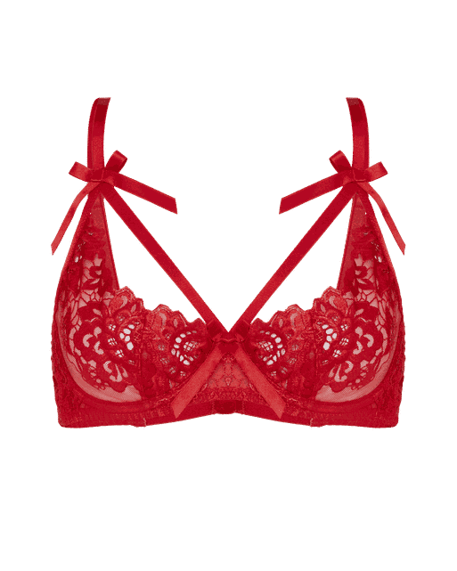 Cendrillon Plunge Underwired Bra Red | Agent Provocateur