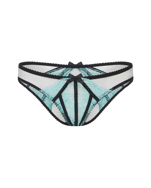 Rozlyn Full Brief  Mint | Agent Provocateur