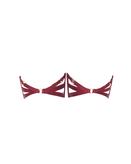 Dioni Garter Set Burgundy | Agent Provocateur