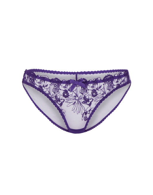 apm0016500000_flatshot_front.png