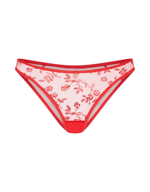 Zadi Full Brief in Red  Agent Provocateur Outlet