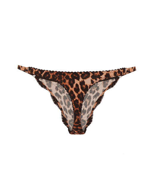 Molly Thong in Leopard  Agent Provocateur All Lingerie
