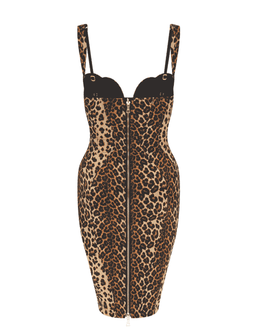 Vestry leopard top print dress