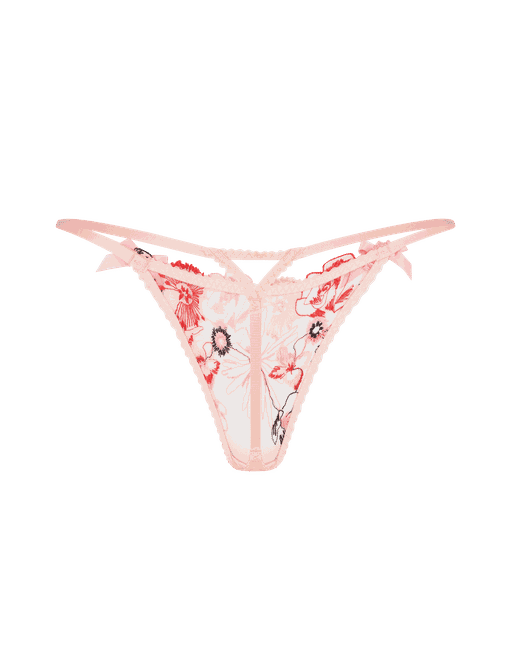 【AGENT PROVOCATEUR】ビキニブリーフ ローライズ 刺繍 Amazon.co.jp: Tバック セクシー ブリーフ ビキニ ローライズ