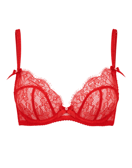 Lorna Lace Plunge Underwired Bra in Red