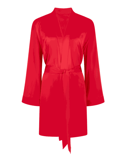 Agent provocateur silk robe online
