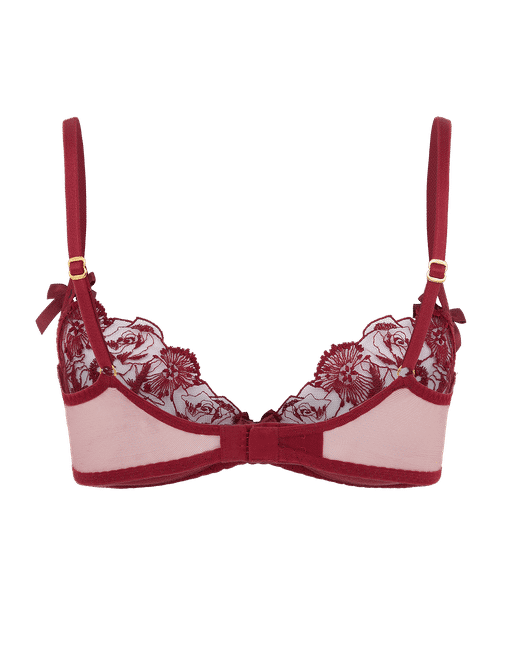 34C Sheer AGENT PROVOCATEUR Donnie Plunge Underwired Bra Pink Cherry  Cherries - Helia Beer Co