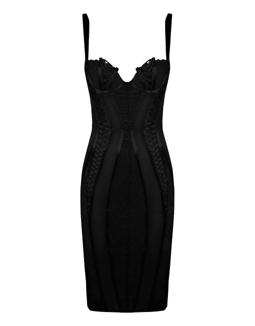Agent provocateur hot sale corset dress