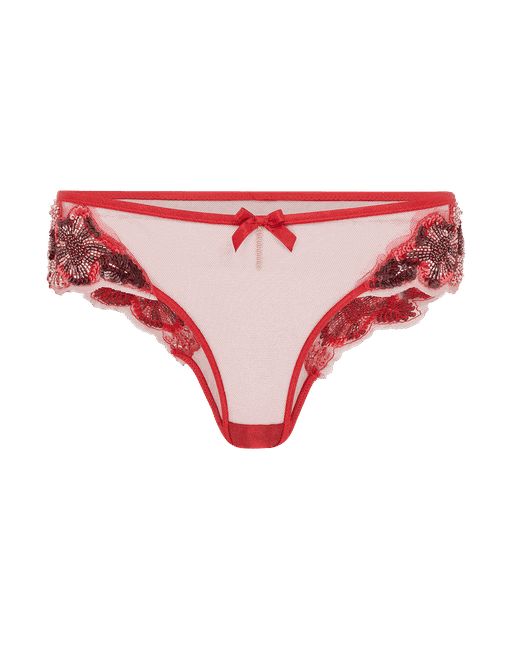 Giana Full Brief | By Agent Provocateur
